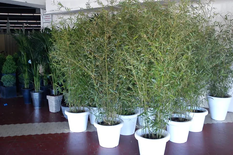 AG Création — photo 2