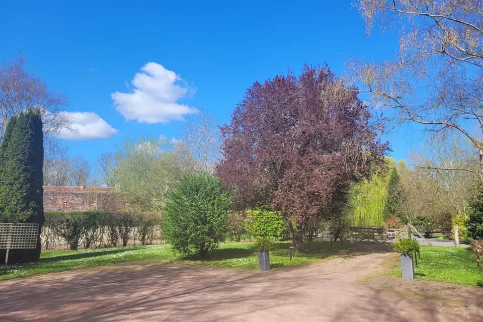 Domaine du Saul' — photo 7