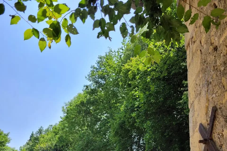 Domaine du Saul' — photo 4