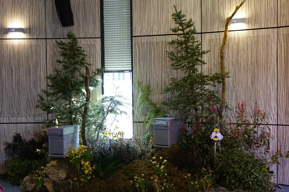 AG Création — photo 5