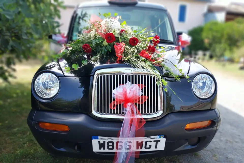 Charlotte Services — photo 1