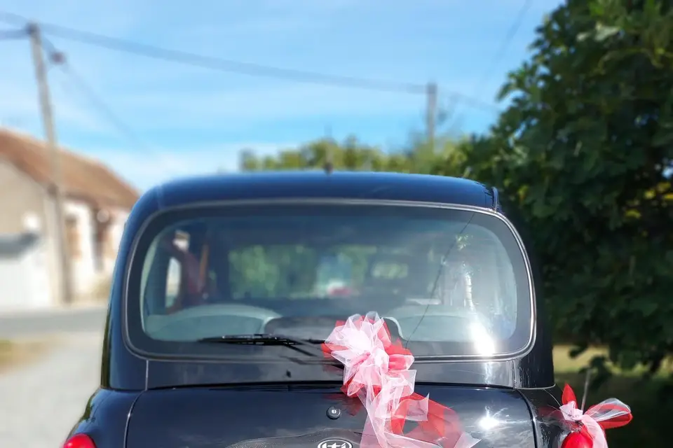 Charlotte Services — photo 8