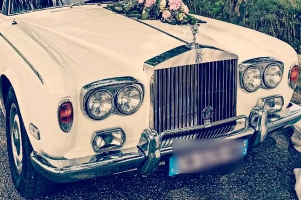 Charlotte Services — photo 6