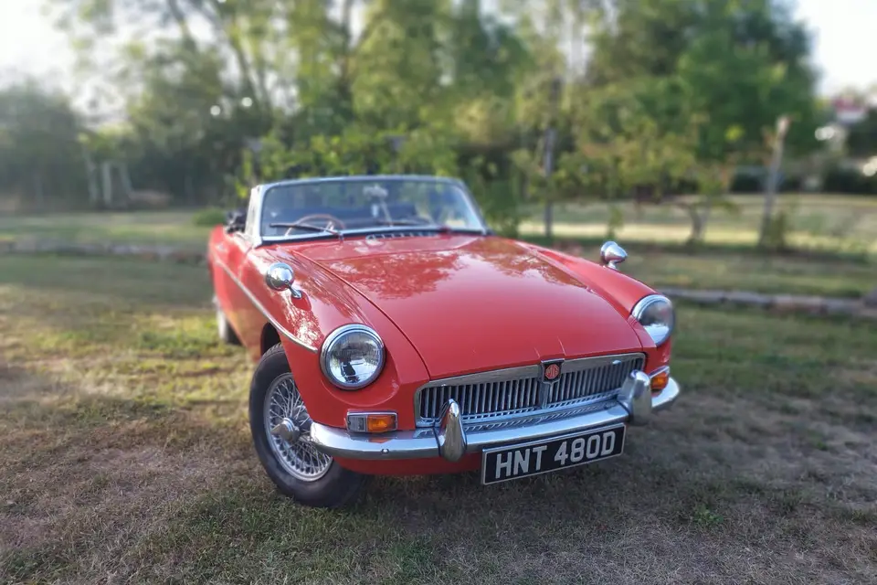 Charlotte Services — photo 2