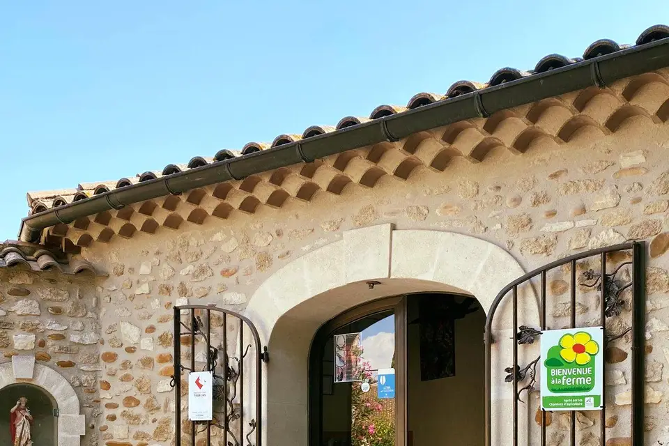 Domaine du Bois de Saint Jean — photo 4