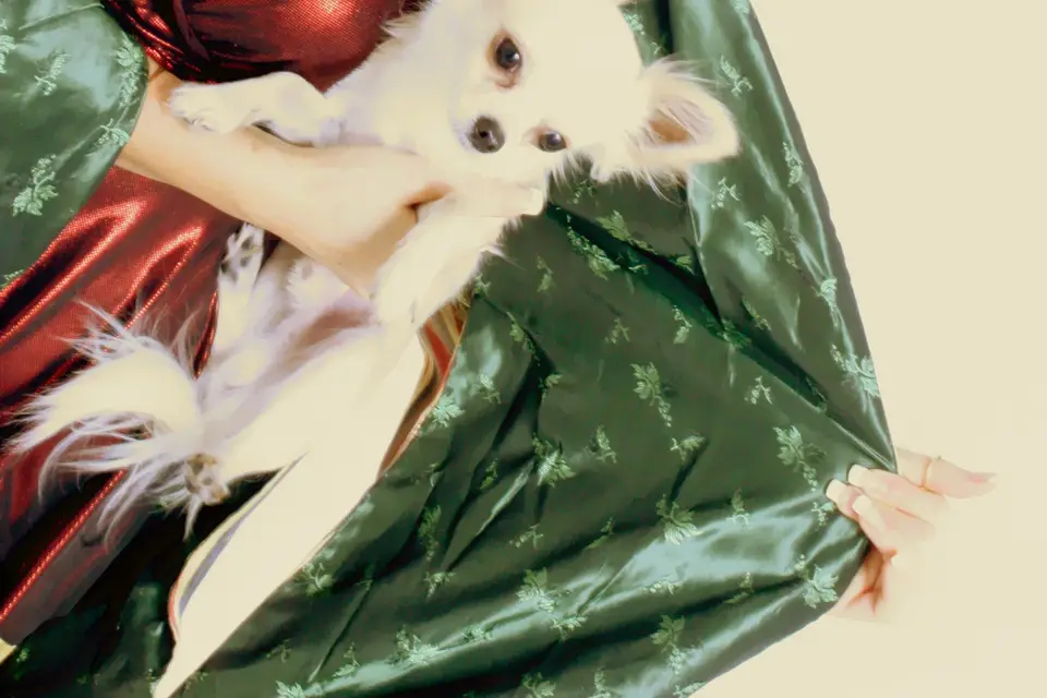 Ilva Scali Magicienne — photo 8