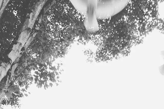 Domaine de la Palombe — photo 3