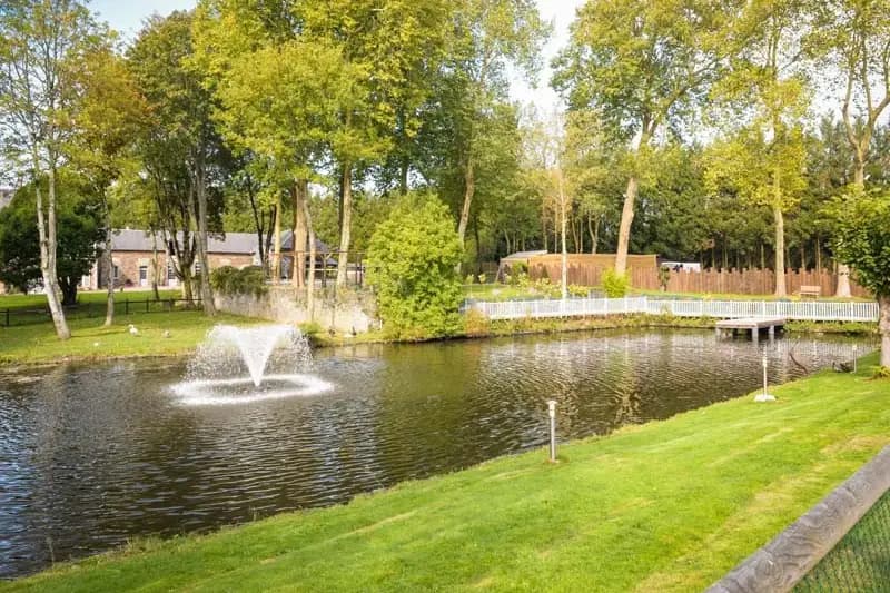 Domaine de la Palombe — photo 1