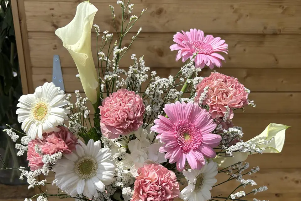 Lydia Studio Flor — photo 7