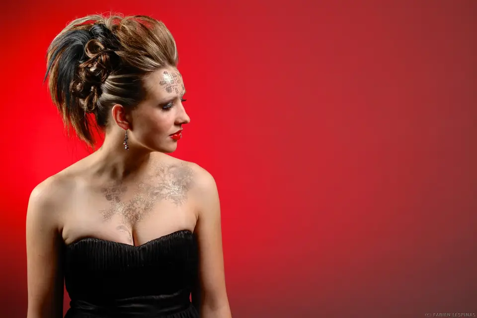 Comme au Salon — photo 2