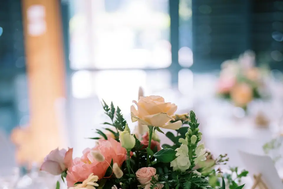 Passiflora_68 — photo 5