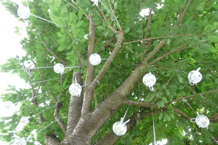 Il Était un Jour — photo 7