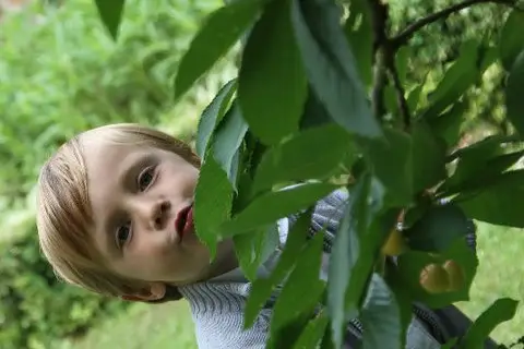 Il Était un Jour — photo 8