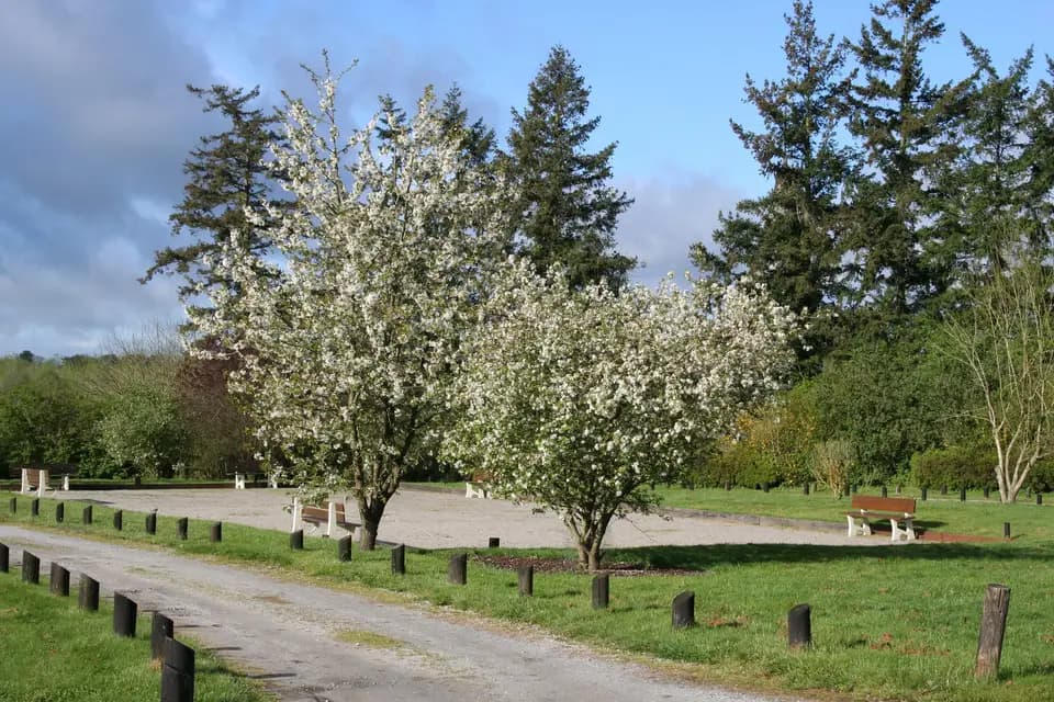 Gouville Val D'Iton — photo 7