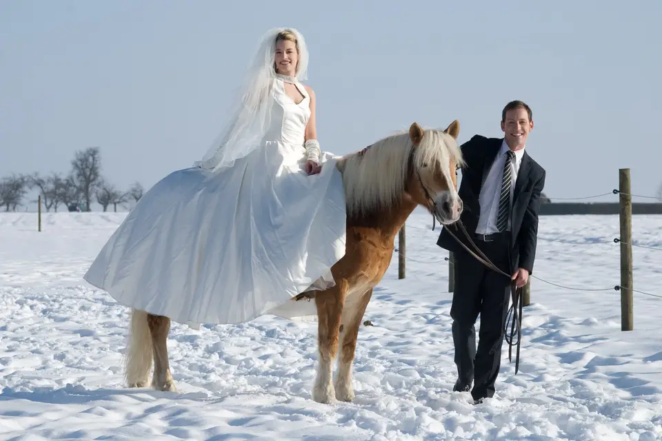 L'Agence Services Premium — photo 4