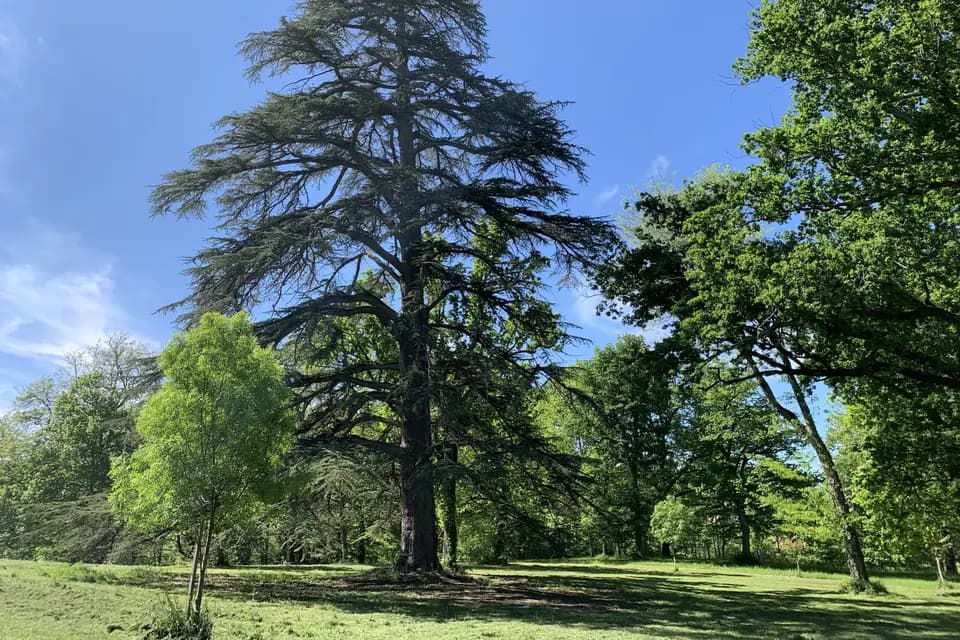 La Compagnie Des Campagnes — photo 3