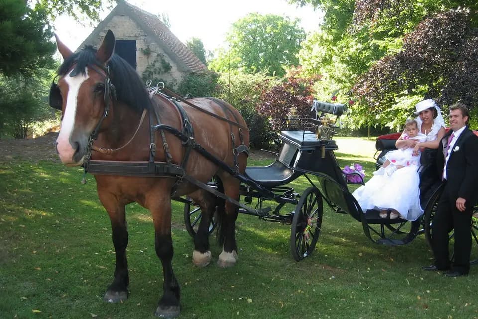 Abbaye de Villers Canivet — photo 5