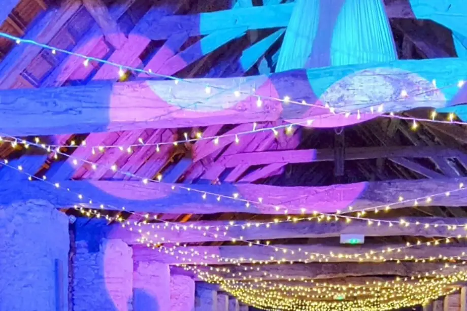 Shedu Events — photo 6