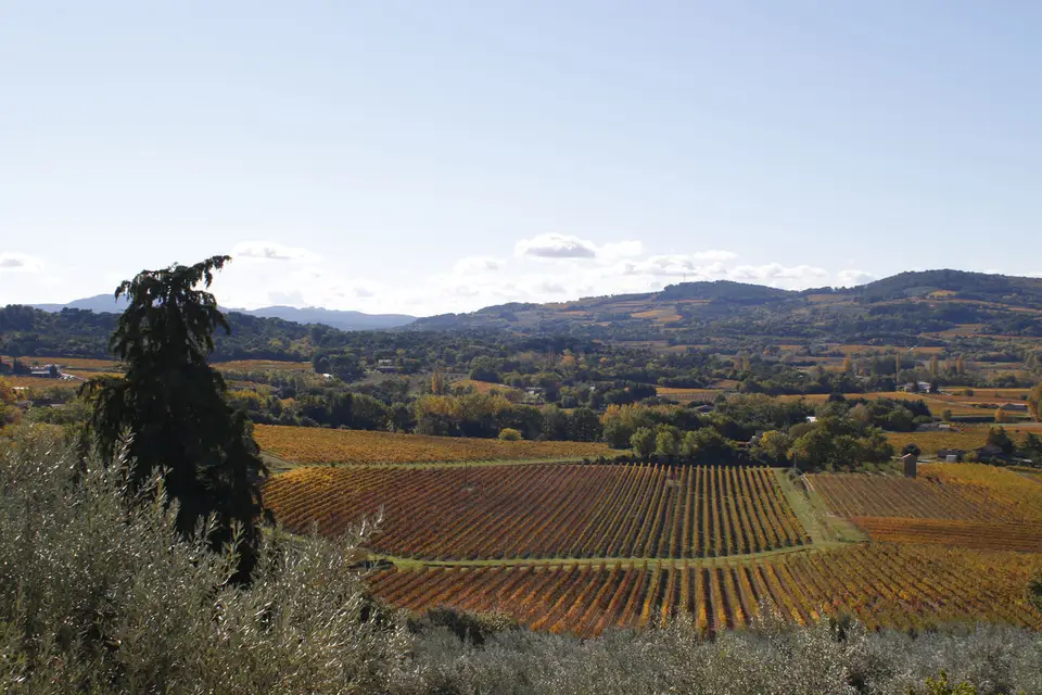 Centre Artistique de Piégon — photo 6