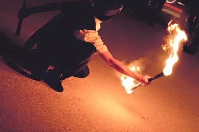 Ravel'Prod — photo 6