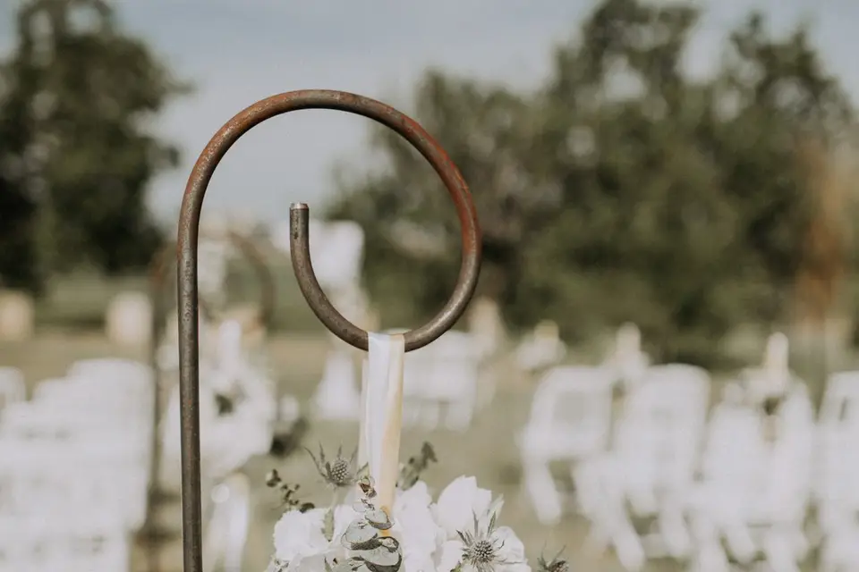 Passion Flore — photo 3