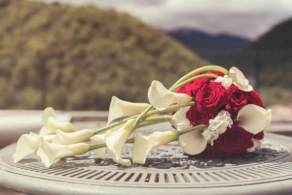 Passion Flore — photo 1