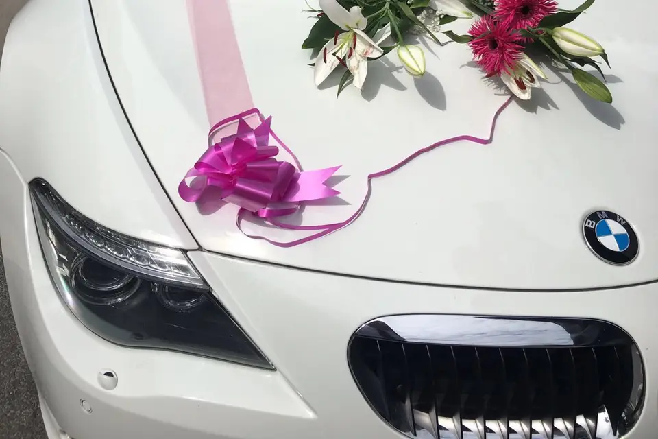 Luxury Drive — photo 7