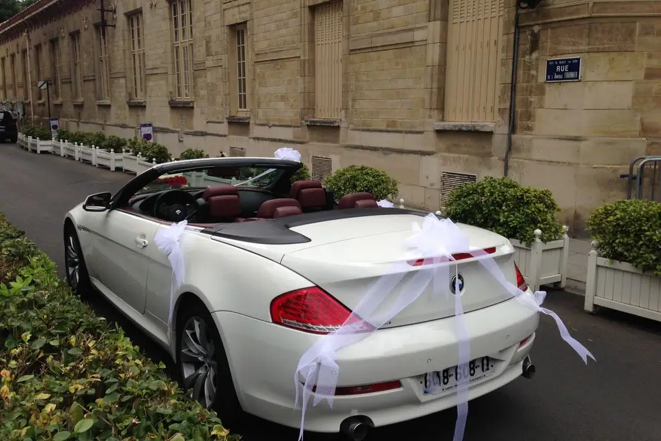 Luxury Drive — photo 8