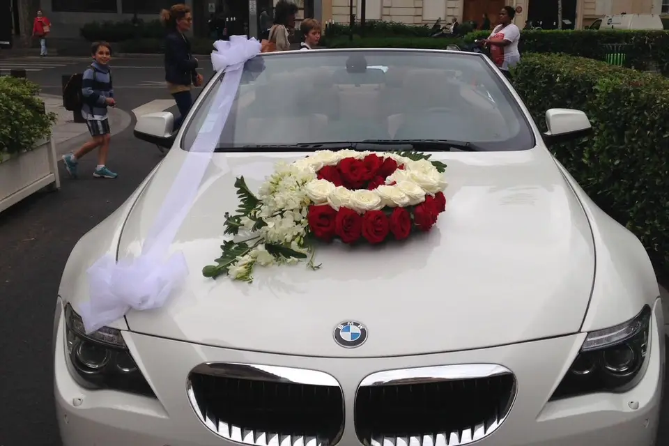 Luxury Drive — photo 2