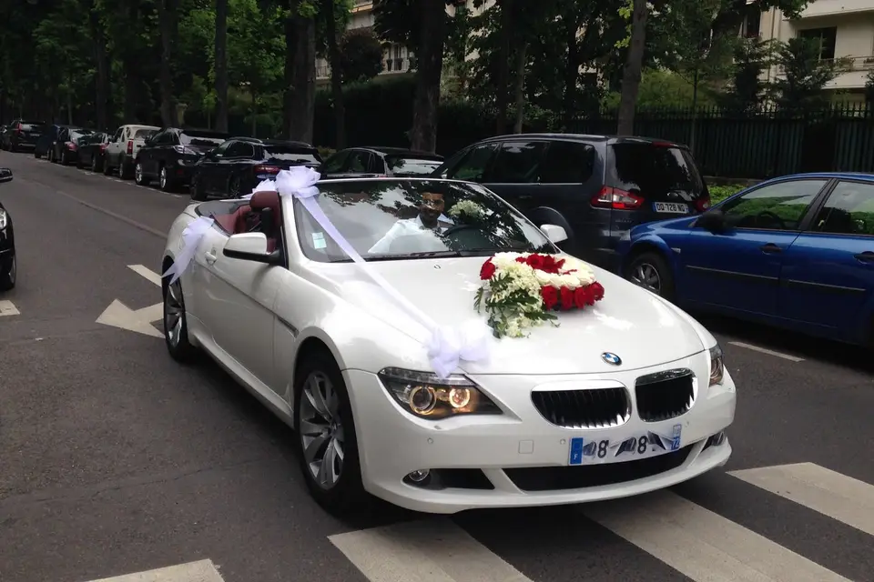 Luxury Drive — photo 6