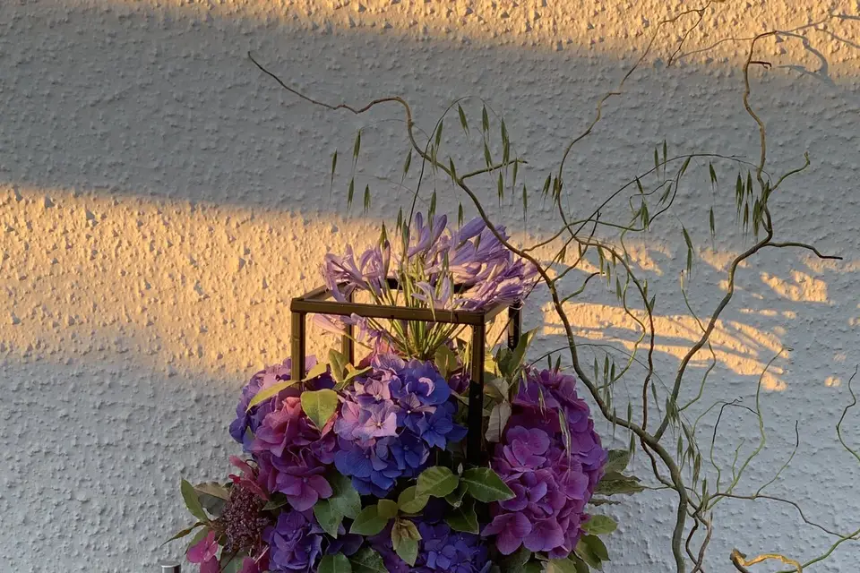 Fleur Australe — photo 1