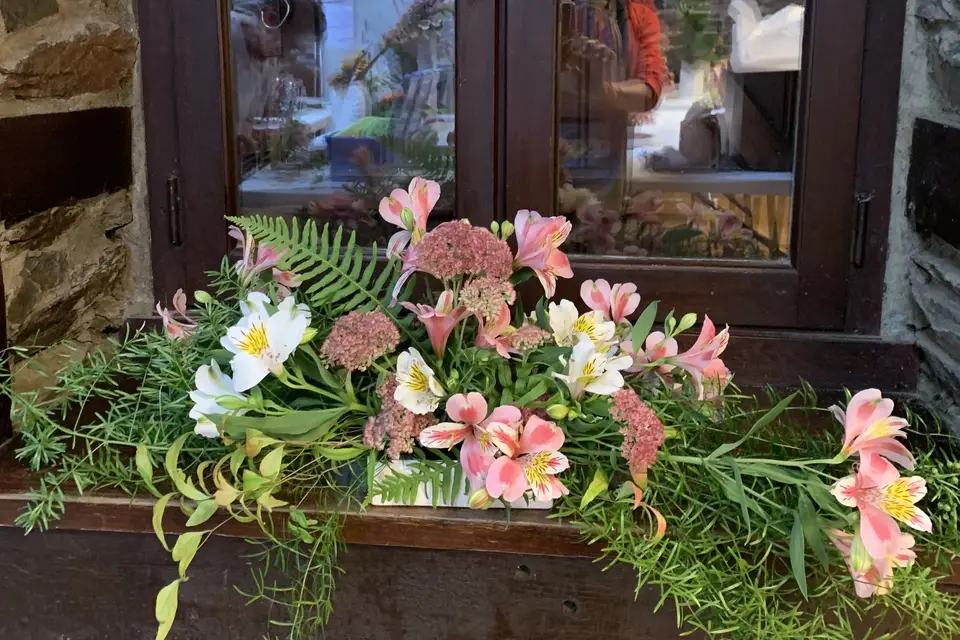 Fleur Australe — photo 5