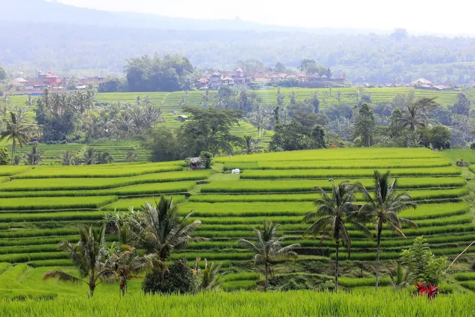 Voyages A Votre Mesure — photo 3