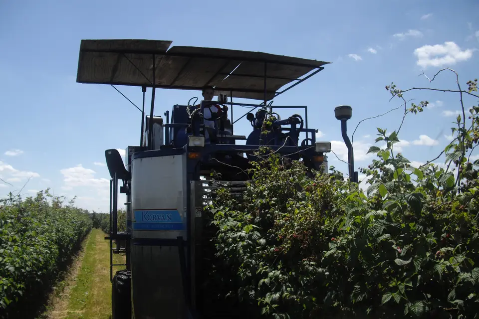 Le Domaine du Framboisier — photo 6