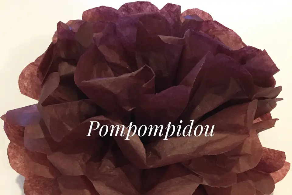 Pompompidou — photo 7