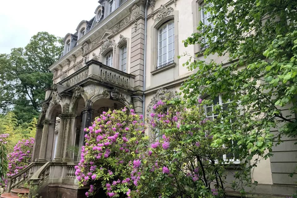 Château Lacour — photo 4