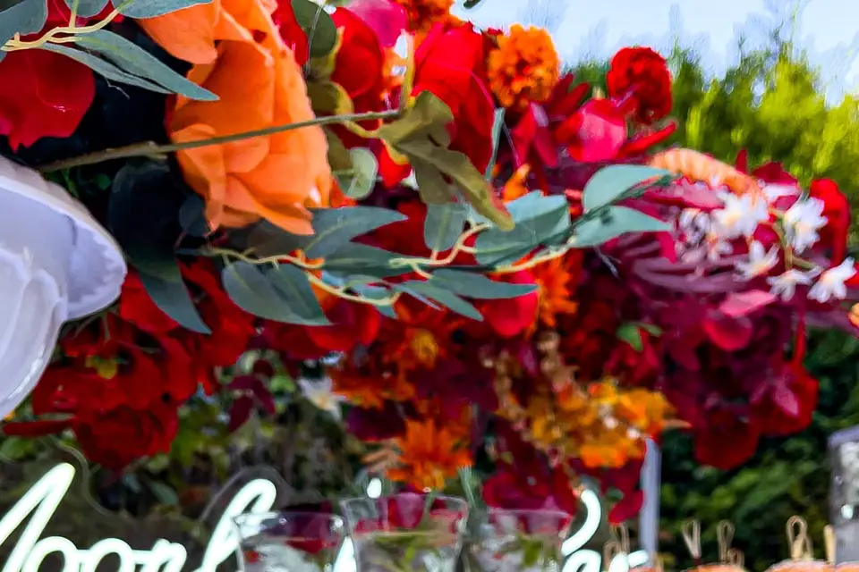 Moonlight Bar - cocktails — photo 2