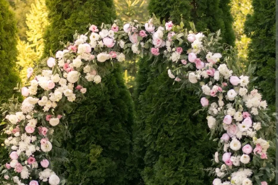 L'Atelier de Babou — photo 4