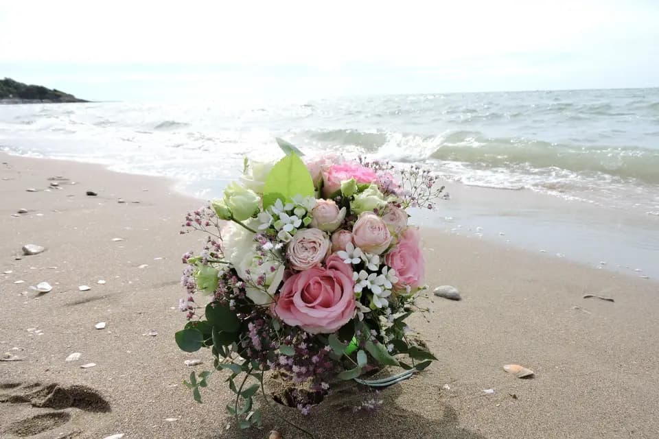 C&D Events — photo 1