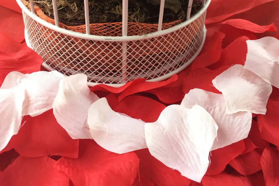 C&D Events — photo 3