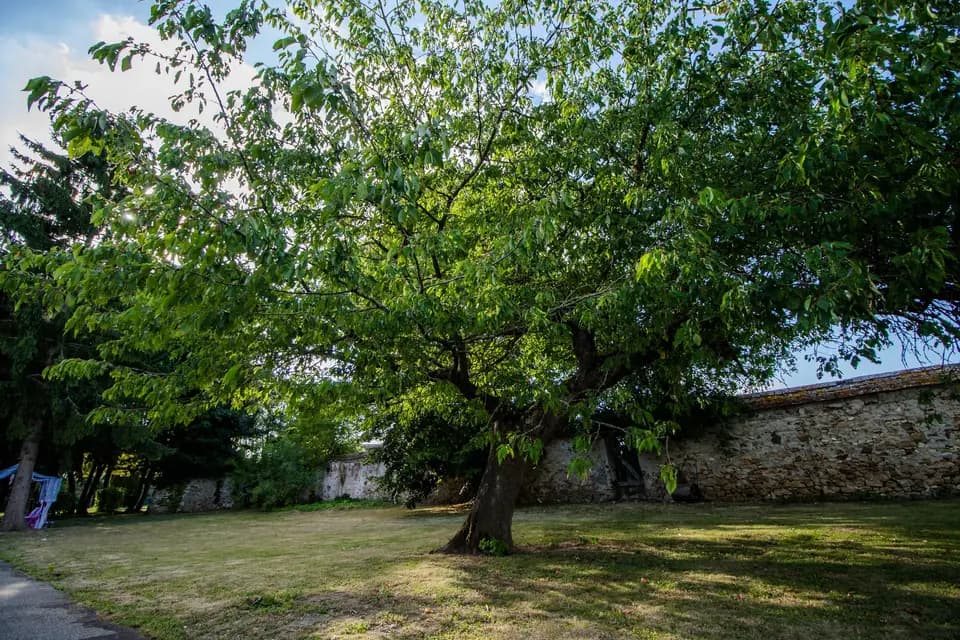 Domaine d'Arvigny — photo 3