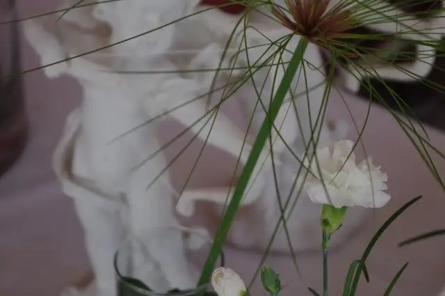 Love is in the Air — photo 8