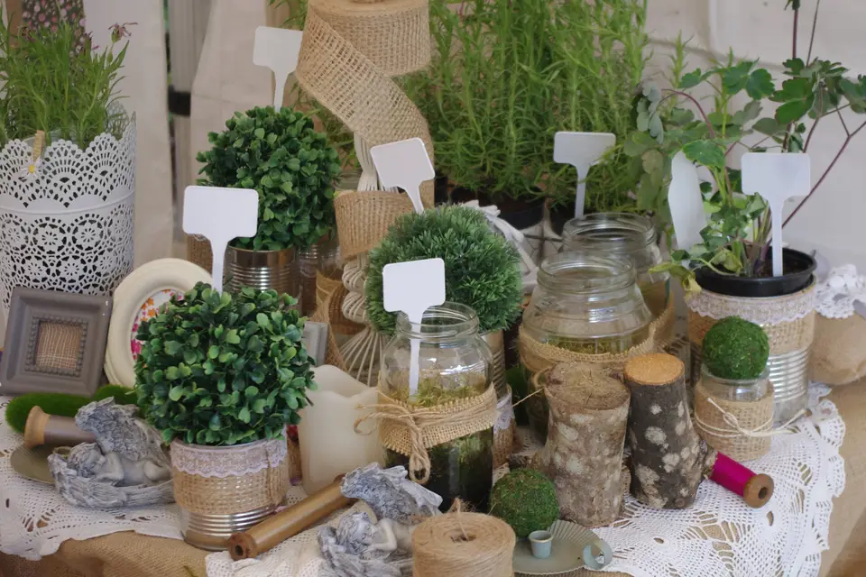 Love is in the Air — photo 1