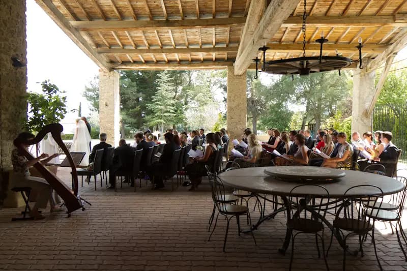 Wolf Dominique — photo 7