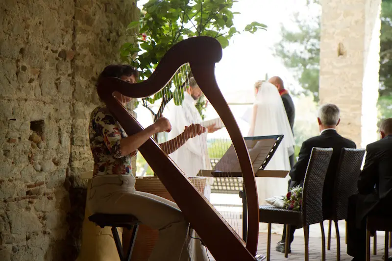 Wolf Dominique — photo 6