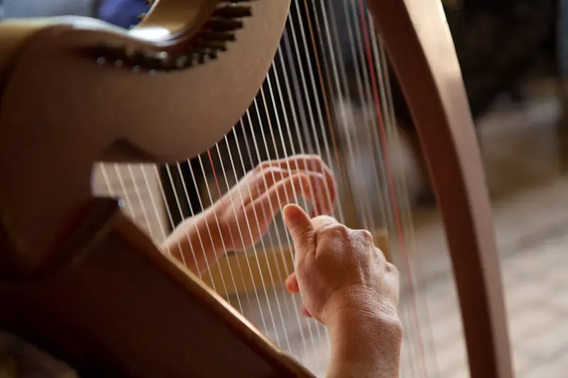 Wolf Dominique — photo 5