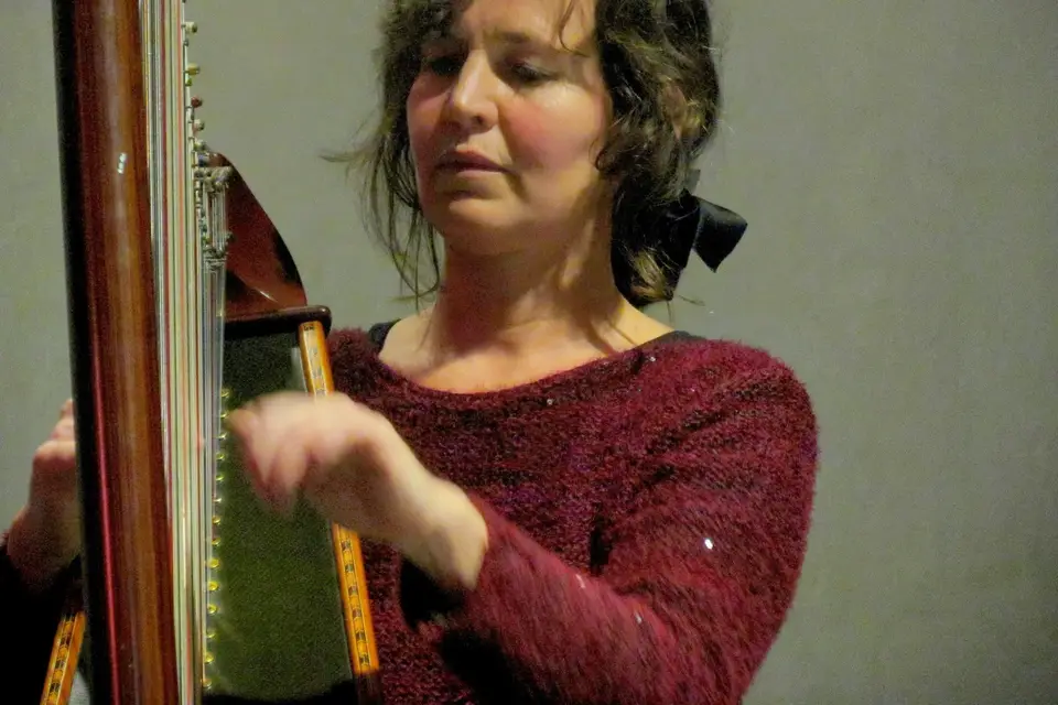 Wolf Dominique — photo 4