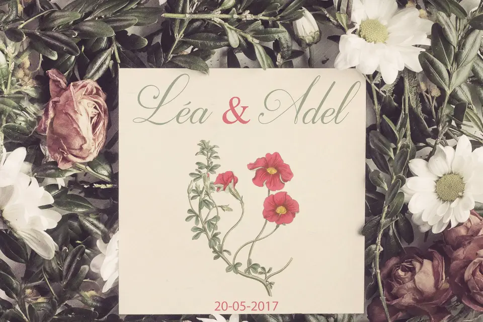 Calli'So — photo 6