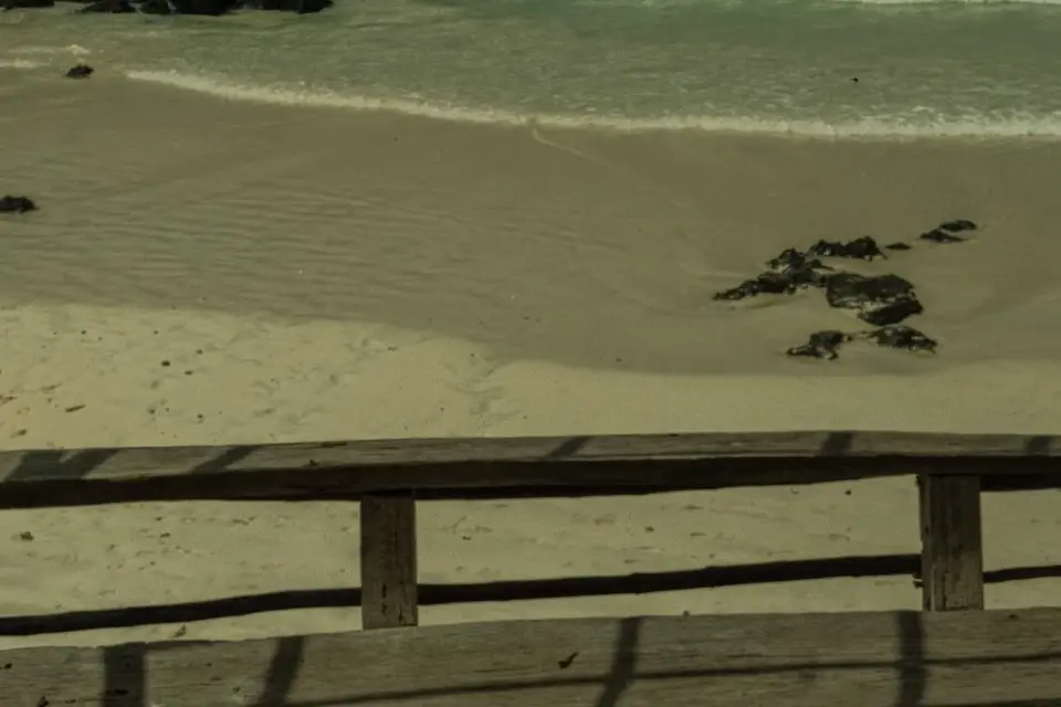 56 Pictures — photo 1