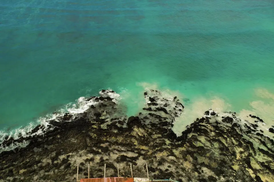 56 Pictures — photo 4